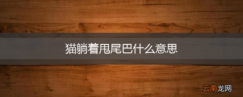 猫躺着甩尾巴什么意思