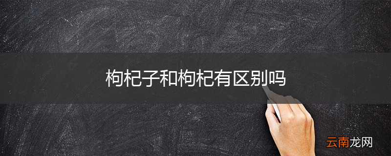 枸杞子和枸杞有区别吗