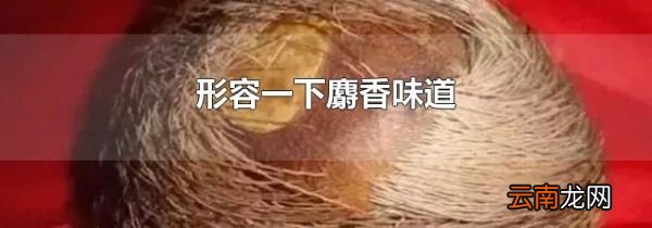形容一下麝香味道