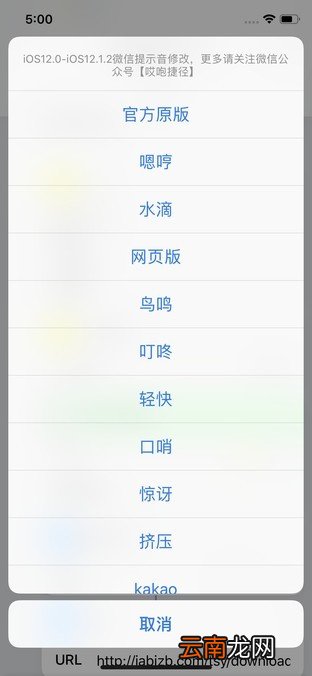 ios13修改提示音