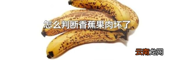 怎么判断香蕉果肉坏了