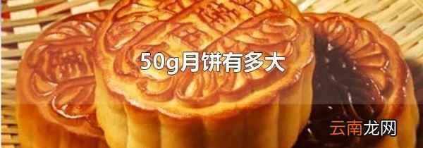 50g月饼有多大