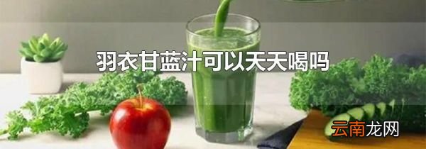 羽衣甘蓝汁可以天天喝吗
