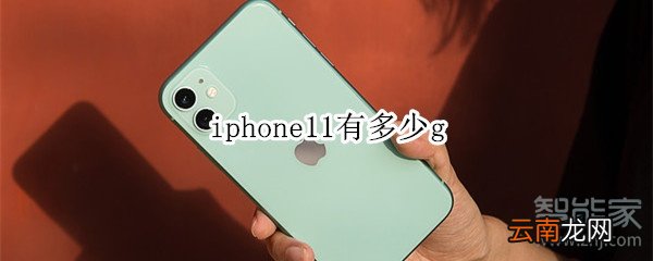 iphone11有多少g
