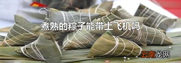 煮熟的粽子能带上飞机吗