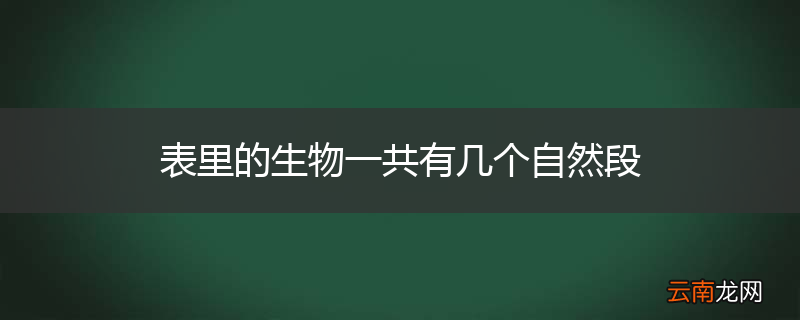 表里的生物一共有几个自然段