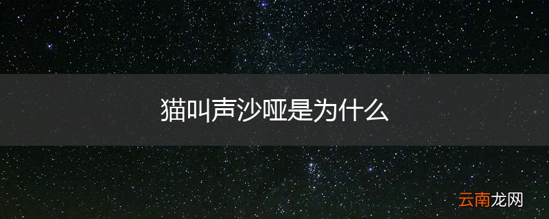 猫叫声沙哑是为什么