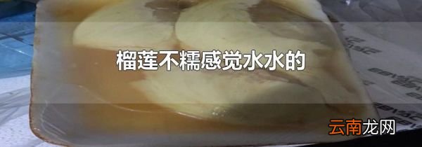 榴莲不糯感觉水水的