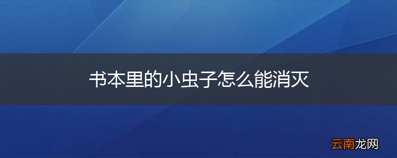 书本里的小虫子怎么能消灭