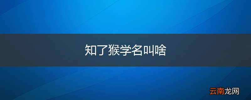 知了猴学名叫啥