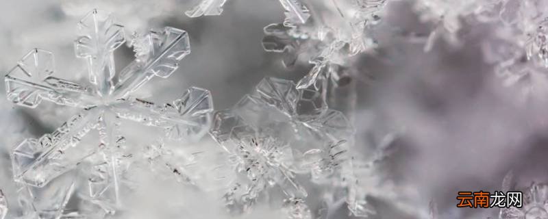 雪花有8个花瓣吗