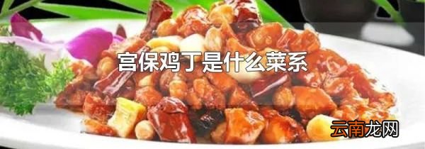 宫保鸡丁是什么菜系