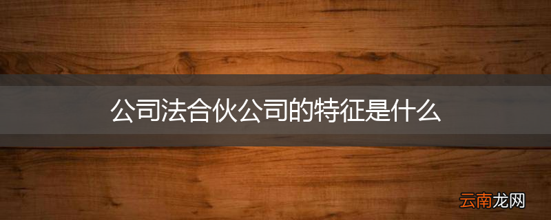 公司法合伙公司的特征是什么
