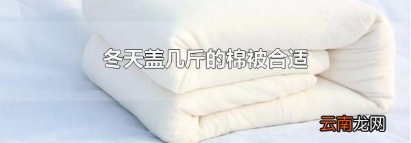 冬天盖几斤的棉被合适
