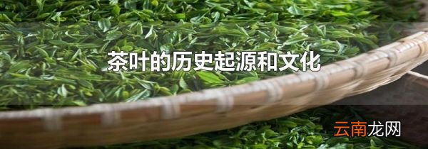 茶叶的历史起源和文化