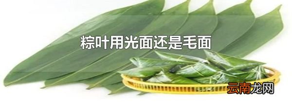 粽叶用光面还是毛面