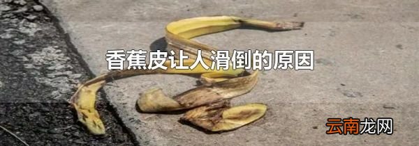 香蕉皮让人滑倒的原因