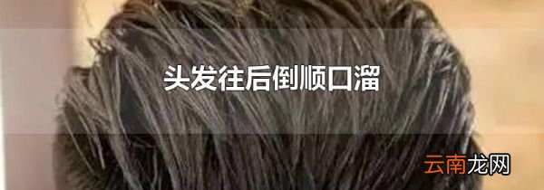 头发往后倒顺口溜