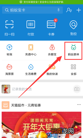 支付宝种树怎么收集能量?支付宝种树收集能量方法