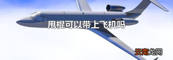 甩棍可以带上飞机吗