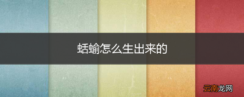 蛞蝓怎么生出来的