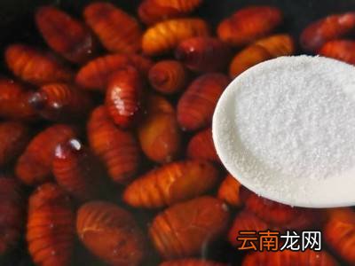 蚕蛹冬季保存方法