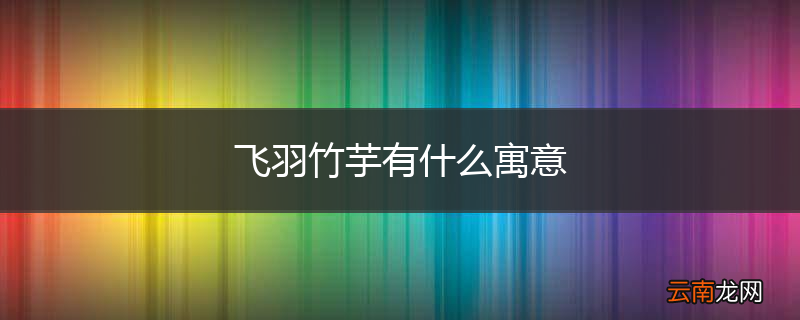 飞羽竹芋有什么寓意