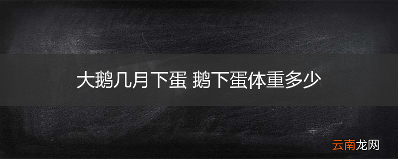 大鹅几月下蛋 鹅下蛋体重多少