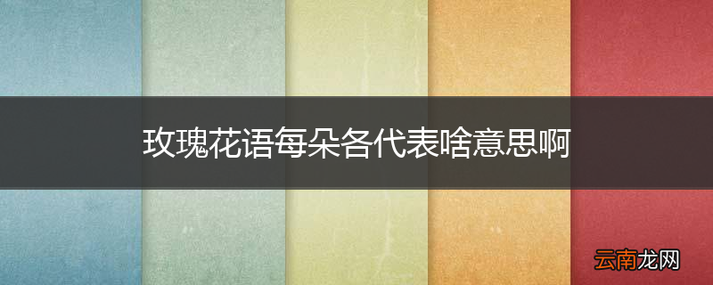 玫瑰花语每朵各代表啥意思啊