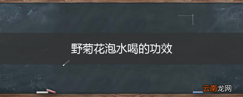 野菊花泡水喝的功效