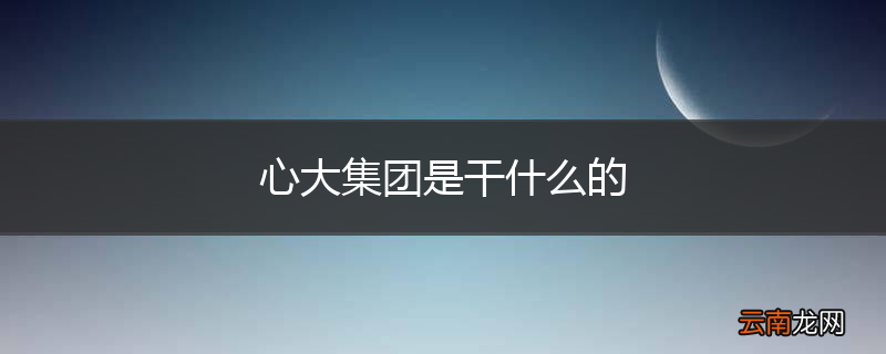 心大集团是干什么的