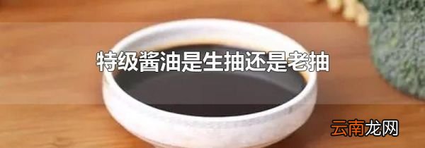 特级酱油是生抽还是老抽