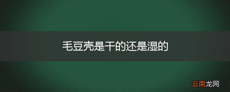 毛豆壳是干的还是湿的
