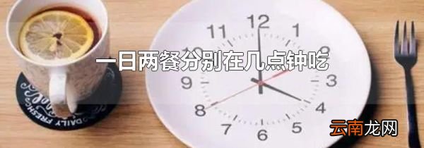 一日两餐分别在几点钟吃