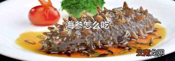 海参怎么吃