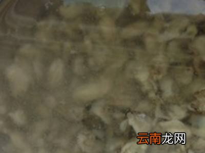 生蚝处理
