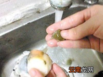 生蚝处理