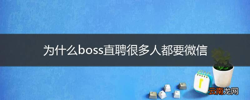 为什么boss直聘很多人都要微信