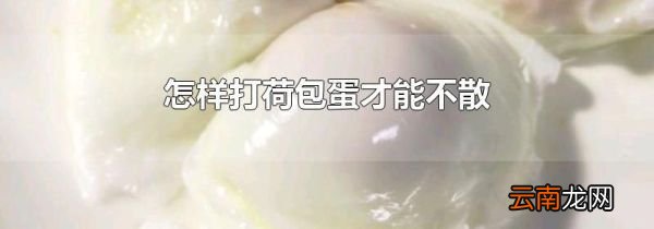 怎样打荷包蛋才能不散