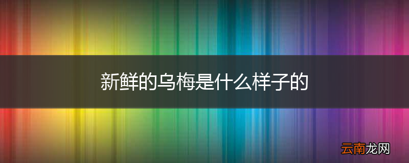 新鲜的乌梅是什么样子的