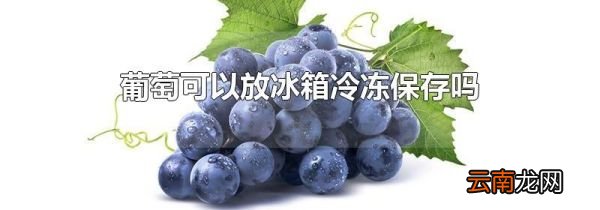 葡萄可以放冰箱冷冻保存吗