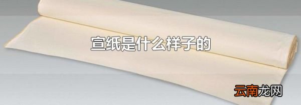 宣纸是什么样子的