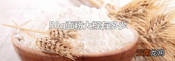 50g面粉大概有多少