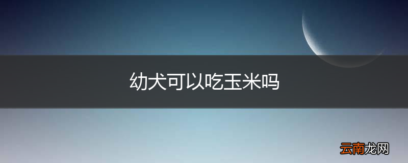 幼犬可以吃玉米吗