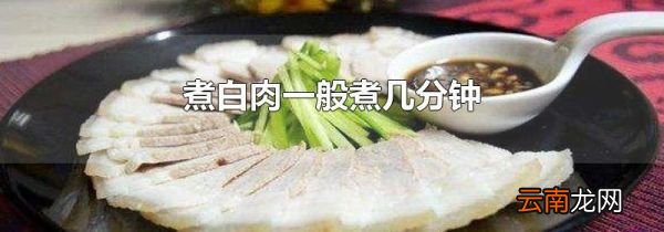 煮白肉一般煮几分钟