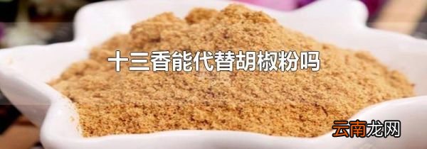 十三香能代替胡椒粉吗