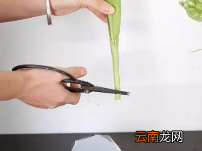 收到的鲜花花束怎么保存