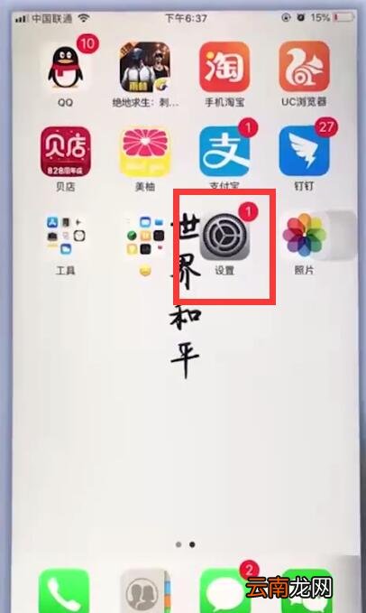 苹果手机中关闭自动亮度调节的具体步骤