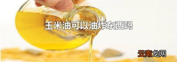 玉米油可以油炸东西吗
