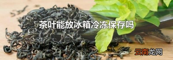 茶叶能放冰箱冷冻保存吗
